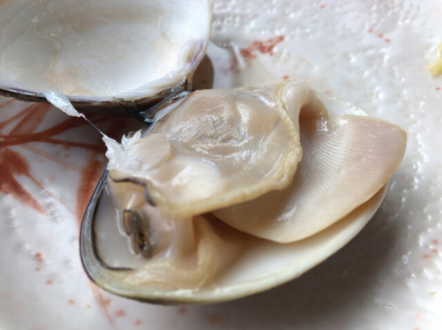 いさりび食堂 九十九里町その他 魚介料理 海鮮料理 食べログ