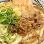 Marugame Seimen - 