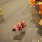 プレゼンテ スギ - 杉寿司のリゾット