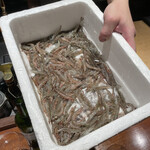 コントワール フー - 