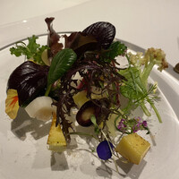 レフェルヴェソンス - 