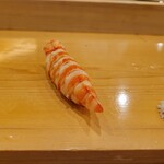 鮨 しゅん輔 - 車海老