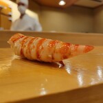 鮨 しゅん輔 - 車海老