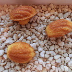 ラ・フルール - キノコのようなミニマドレーヌ。シュガーの上です。