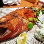 すし処 錦 - キンキ