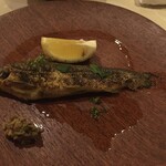 ジューダバレリーノ - ﾊｰﾌﾞ鮎のｺﾝﾌｪｯﾄｩｰﾗ