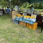 池公園の土曜市 高知オーガニックマーケット - 