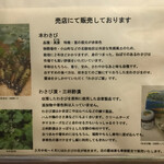 滝口わさび園 - 