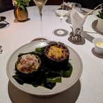 レフェルヴェソンス - 