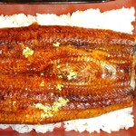 氷見回転寿司　粋鮨 - 