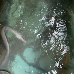 八べえ - うなぎ