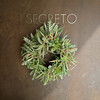 SECRETO