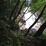 Cafe Suimei - 蒼滝