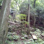 Cafe Suimei - 蒼滝付近の山道