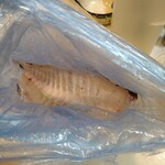 立呑み晩杯屋  - アラ