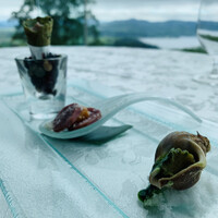 ギリガンズ アイランド - ① 前菜1
                    ツブ貝のマリネ、蝦夷鹿のフランク、バジルのコルネ+ジャンボン（茹でハム）ムース詰め