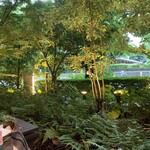 ウエスト青山ガーデン - 2021/07 