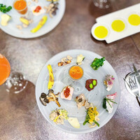 オッジ ダルマット 西麻布店 - 