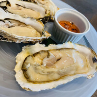 COLONIAL BEACH 横浜ハンマーヘッド - 