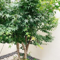 寿しの次郎長 - 