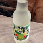 道の駅　紀宝町　ウミガメ公園 - 