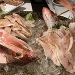 わ食場 はす家 - 