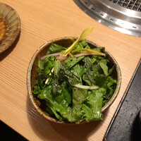 日本焼肉 はせ川 銀座店 - 〇〇苑ぽいサラダ
