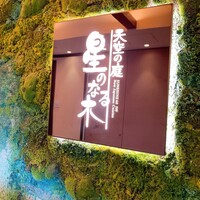 天空の庭　星のなる木 - 