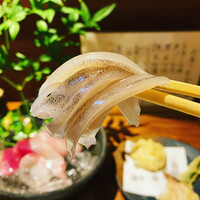 ろっこん - 活けのスルメイカ