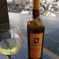 TWO ROOMS - Esucudo　Rojo　Chardonnay　２０１０