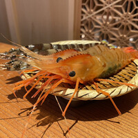 鮨 銀座 おのでら - 