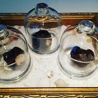 Terres de Truffes, Tokyo - 