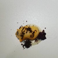 Terres de Truffes, Tokyo - 