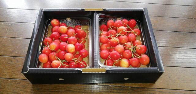 イオン  米沢店（AEON） - 西米沢（コンビニ・スーパー）の写真