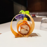 ジョンティ アッシュ - 