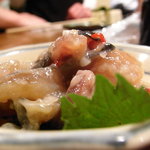 うけもち - にしん切り込み