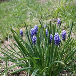 ブーランジェリー　ジン - Jin