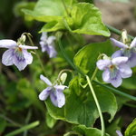 ブーランジェリー　ジン - Jin