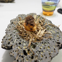 Installation Table ENSO L'asymetrie du calme - トリュフ、じゃがいも、牛蒡