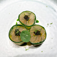 マンサルヴァ - 