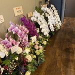 シャントレル - 