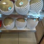 慈げん - メロン熟し待ち