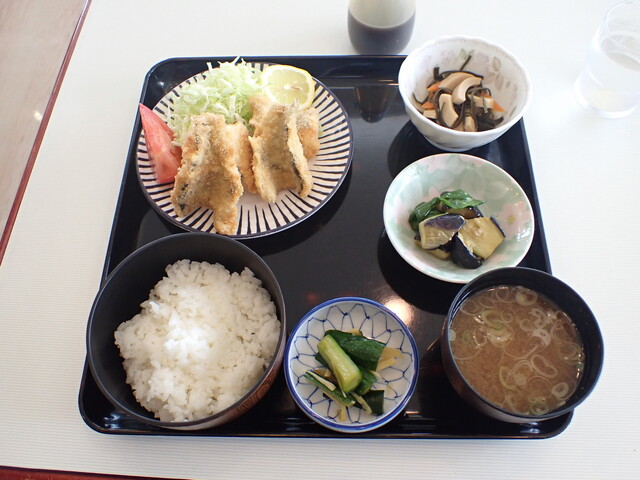 養鱒公園いこいの広場（ヨウソンコウエンイコイノヒロバ） - 養鱒公園（日本料理）の写真