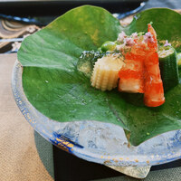 青山 星のなる木 - 