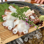 先斗町 四季 よし菜 - 