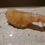 島津 - 青森小泊村の牡丹海老