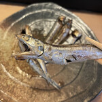 能登寿司 - がオーっ　片口鰯　愛知県