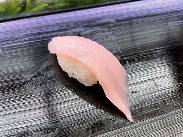 松乃寿司 まつのすし 焼津 寿司 食べログ 松乃寿司 まつのすし 焼津 寿司 食べログ