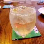 タコムマサラダイナー  - 陸RIKUハイボール520円だよ