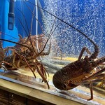 食彩厨房 甚兵衛 - 伊勢海老